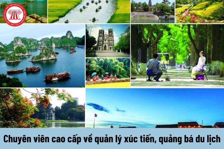 Phòng chật đến đâu giường ngủ - Cảm hứng video marketing từ Hotspot Matrix