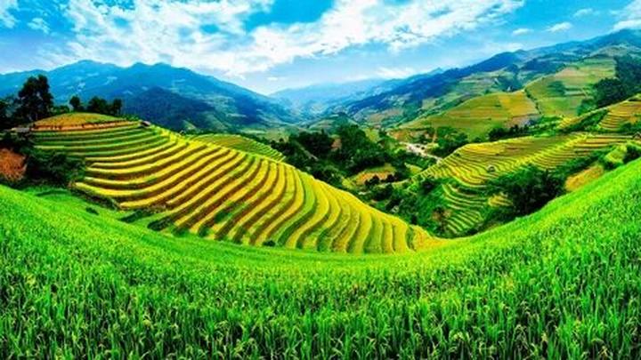 Tự Do Tài Chính: Hành Trình Của Tôi Với Hotspot Matrix