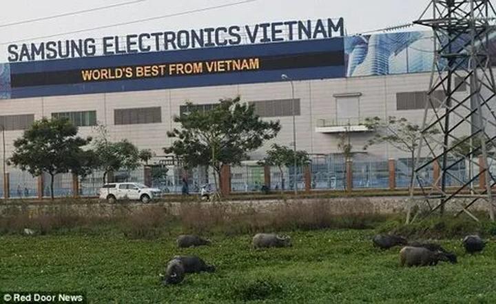 Hotspot Matrix: Bí quyết thành công với video ngắn